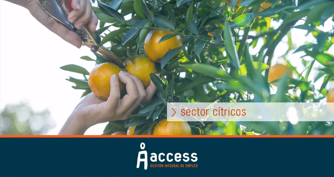 ¿Qué es trabajar en el sector comercio?