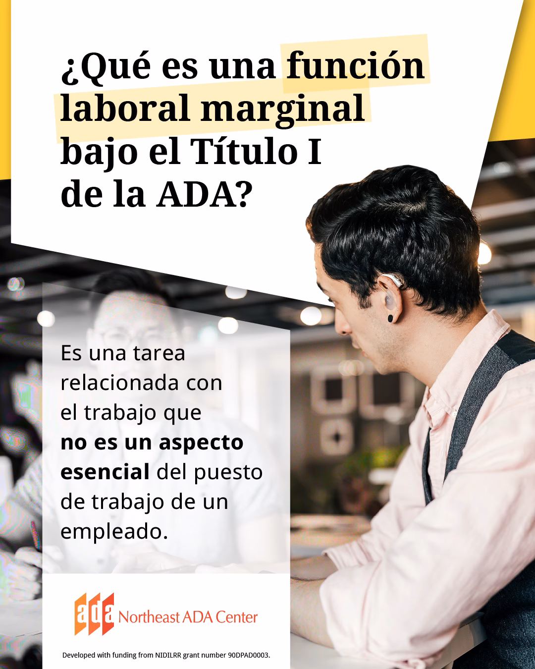 What are the 5 principles of the ADA?