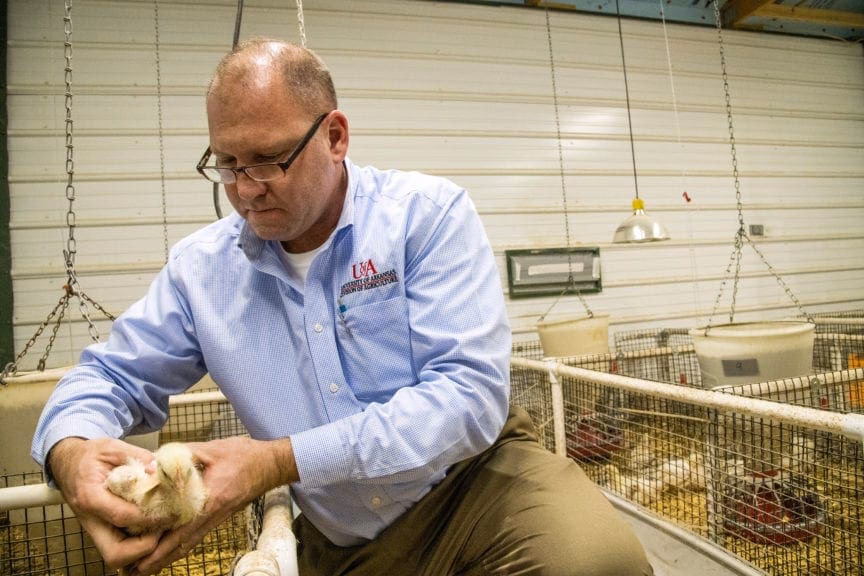 ¿Qué hacen en Adisseo?