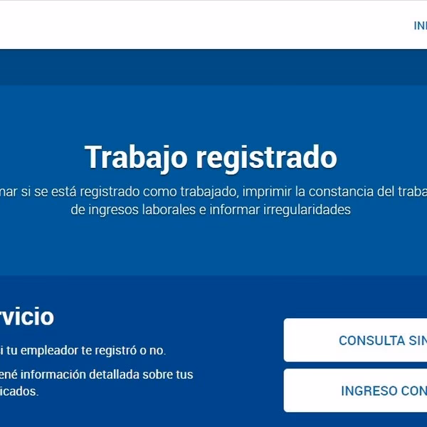 ¿Cómo puedo ver mis datos de AFIP?