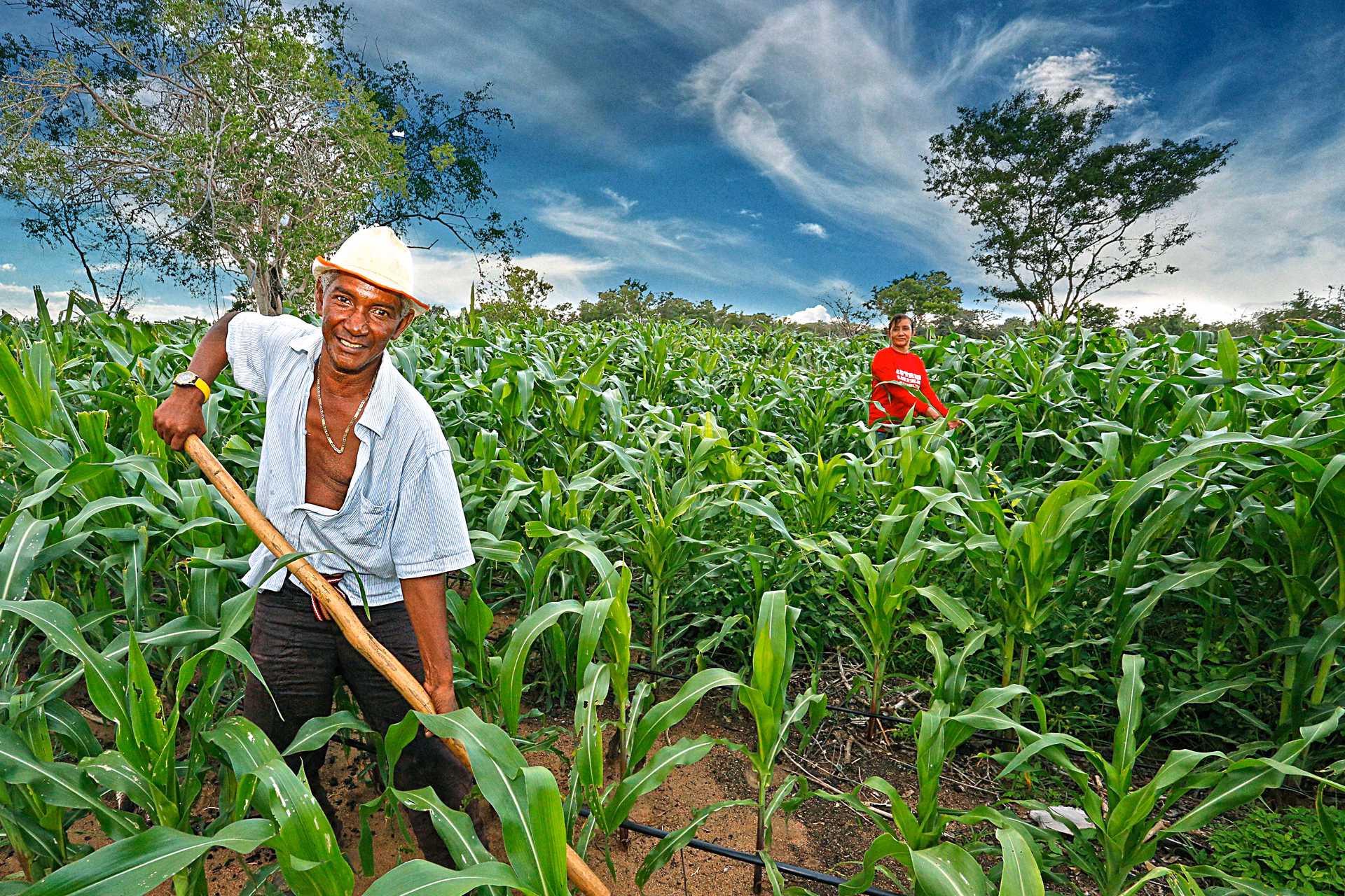 ¿Qué significa trabajadora agropecuaria?