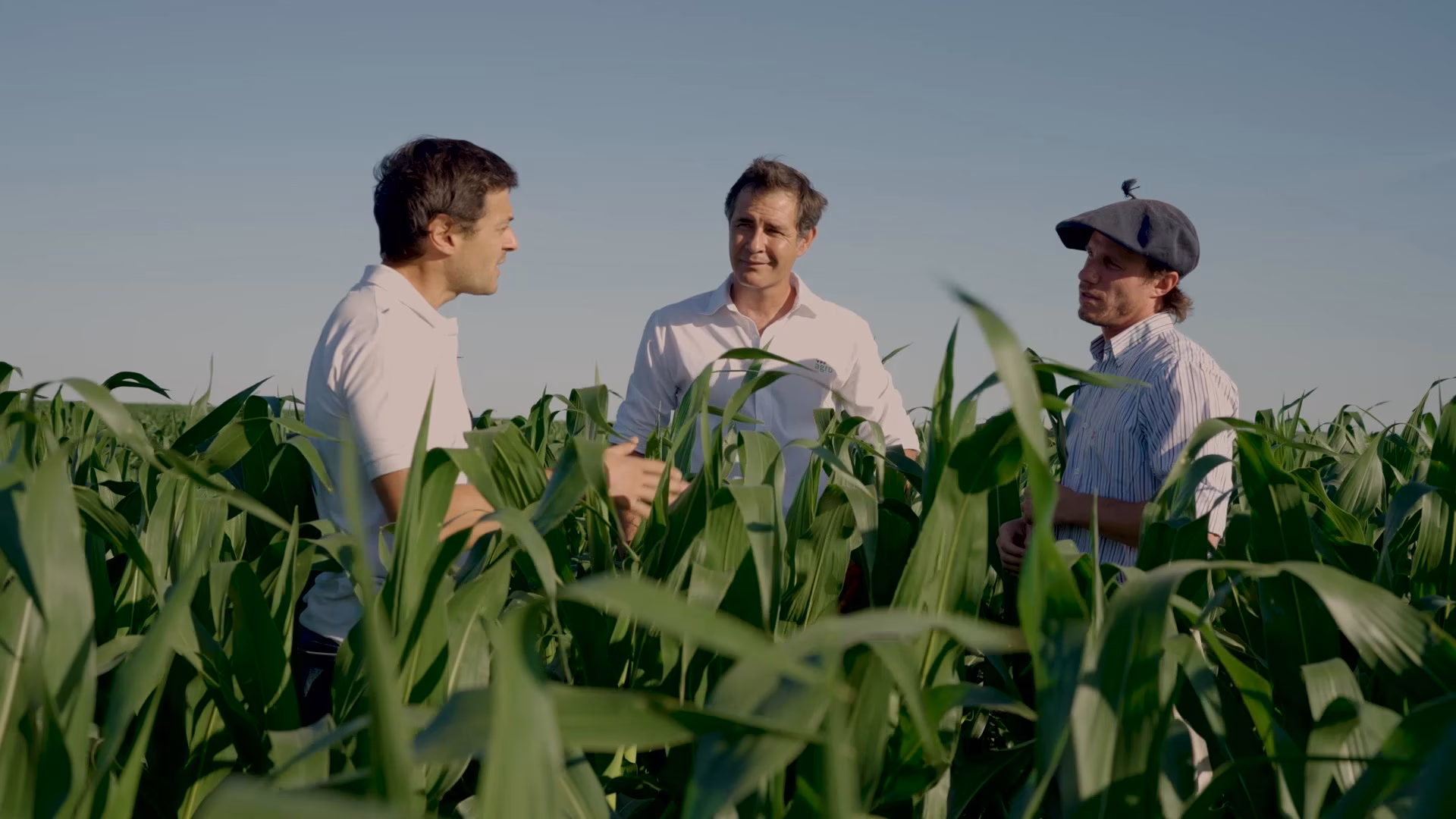 ¿Qué se cultiva en Entre Ríos?