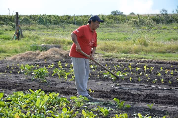 ¿Cómo es el trabajo de agropecuaria?