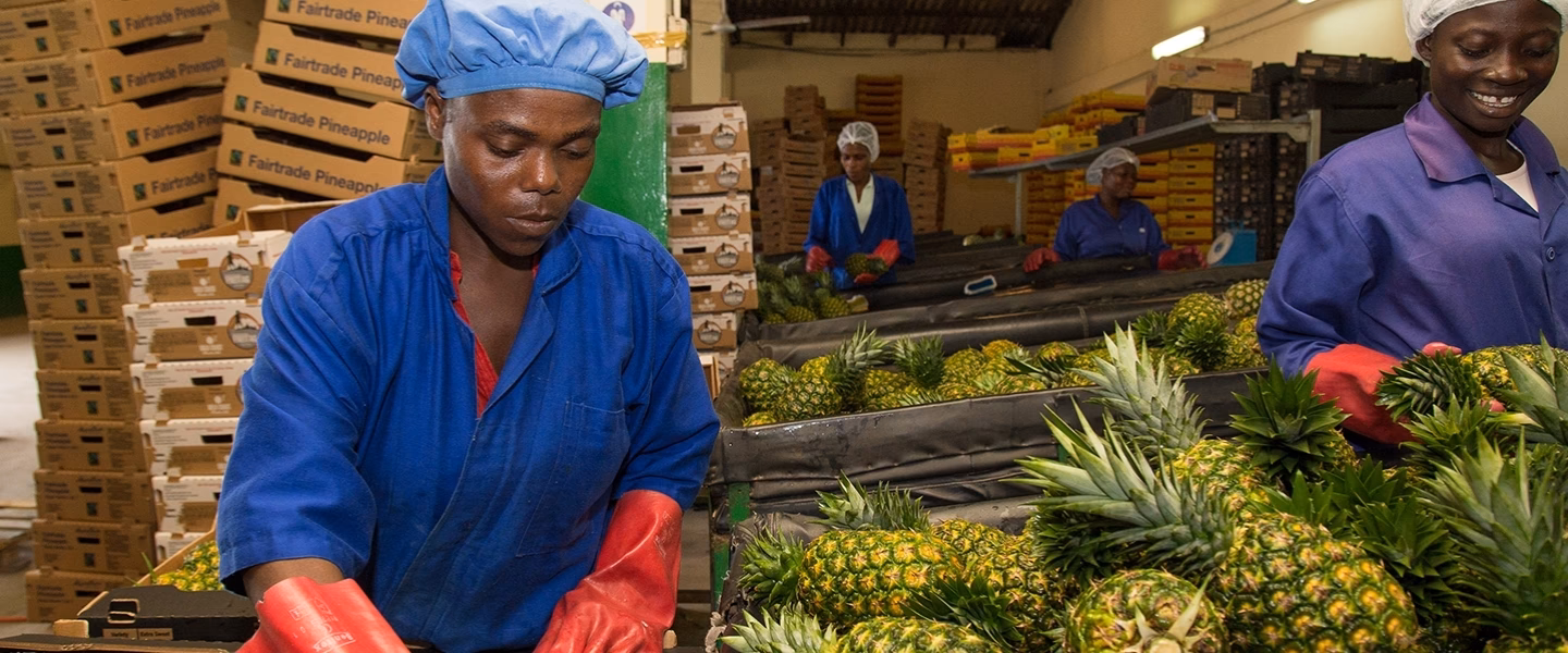 ¿Qué trabajo hace la industria alimenticia?