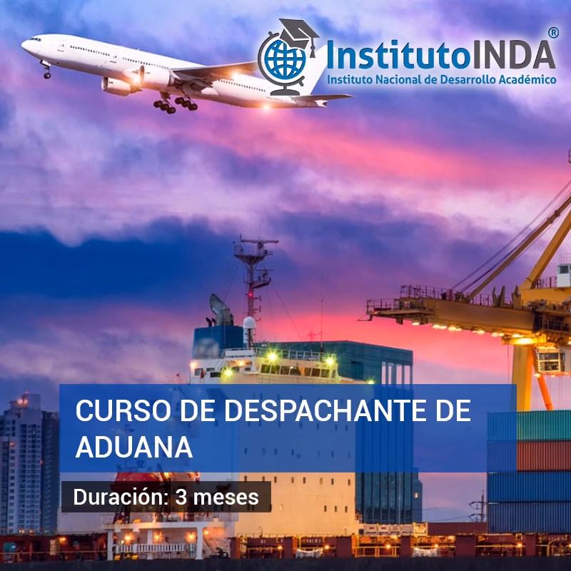 ¿Qué hace un asistente de despachante de aduana?