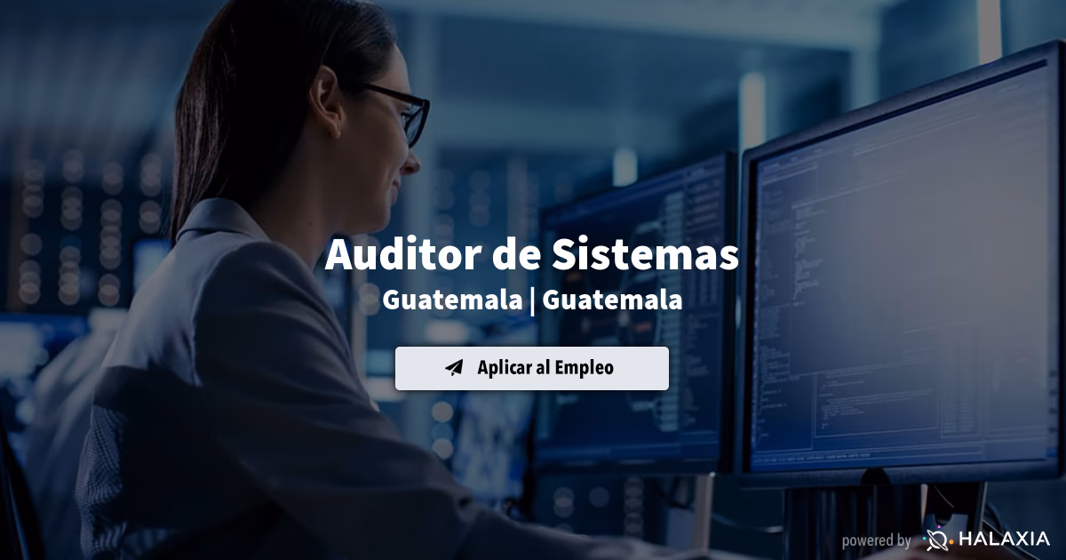 ¿Qué hace el auditor de sistemas?