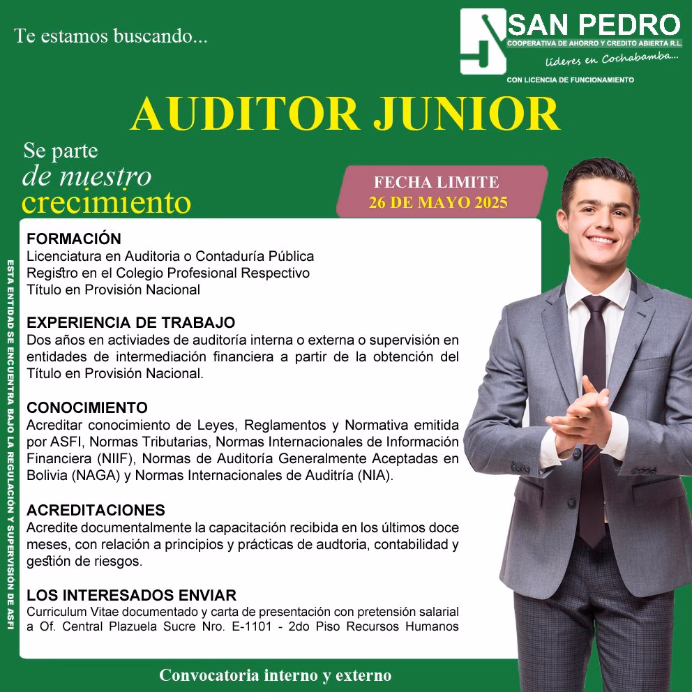 Is an auditor a good job?