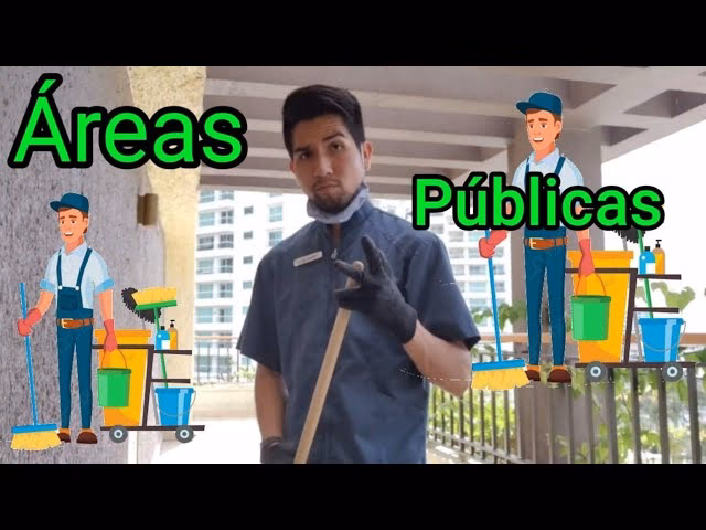 ¿Qué es un auxiliar de áreas públicas?