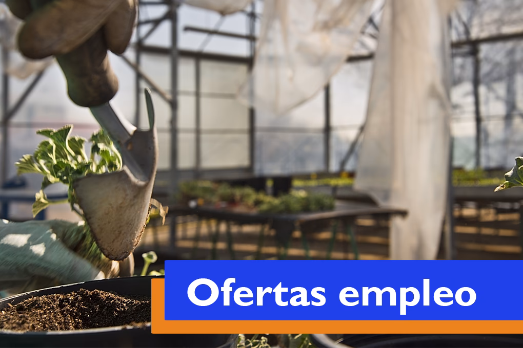 ¿Cómo apuntarse a la Bolsa de Madrid?