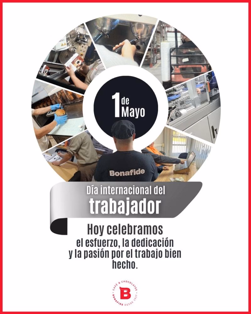 ¿Qué puestos de trabajo hay en Bonafide?