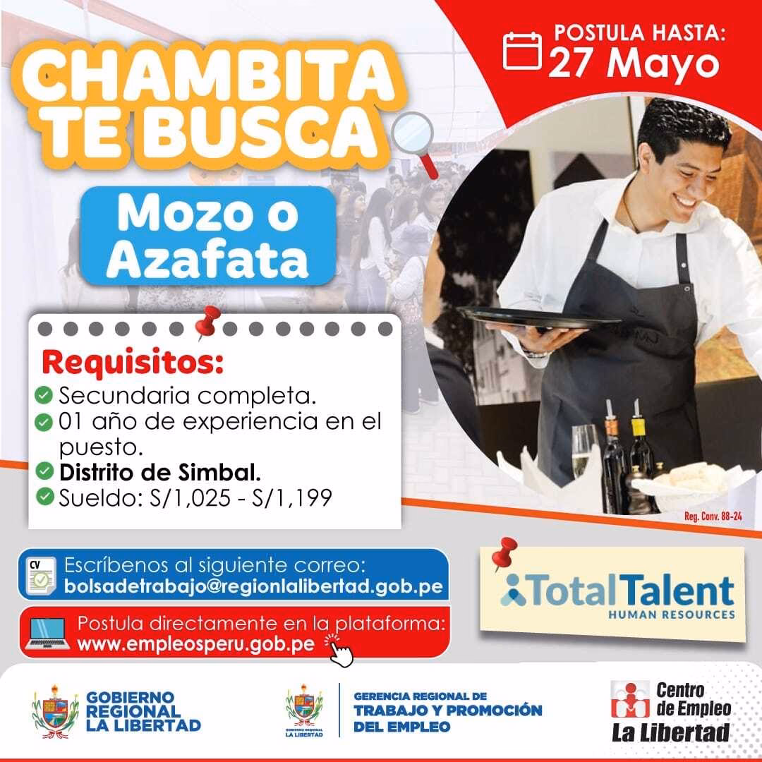 ¿Qué es un mozo chofer?