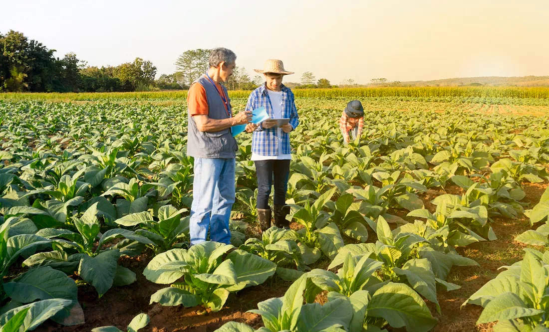 ¿Cuál es un buen sitio web para buscar trabajos relacionados con la agricultura?