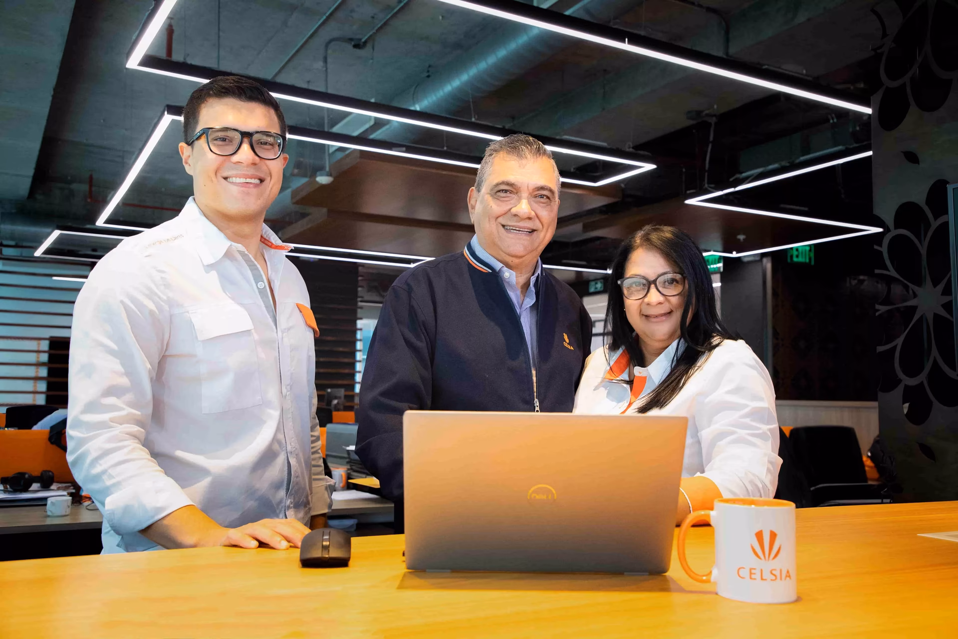 ¿Quién es el dueño de la empresa Celsia?