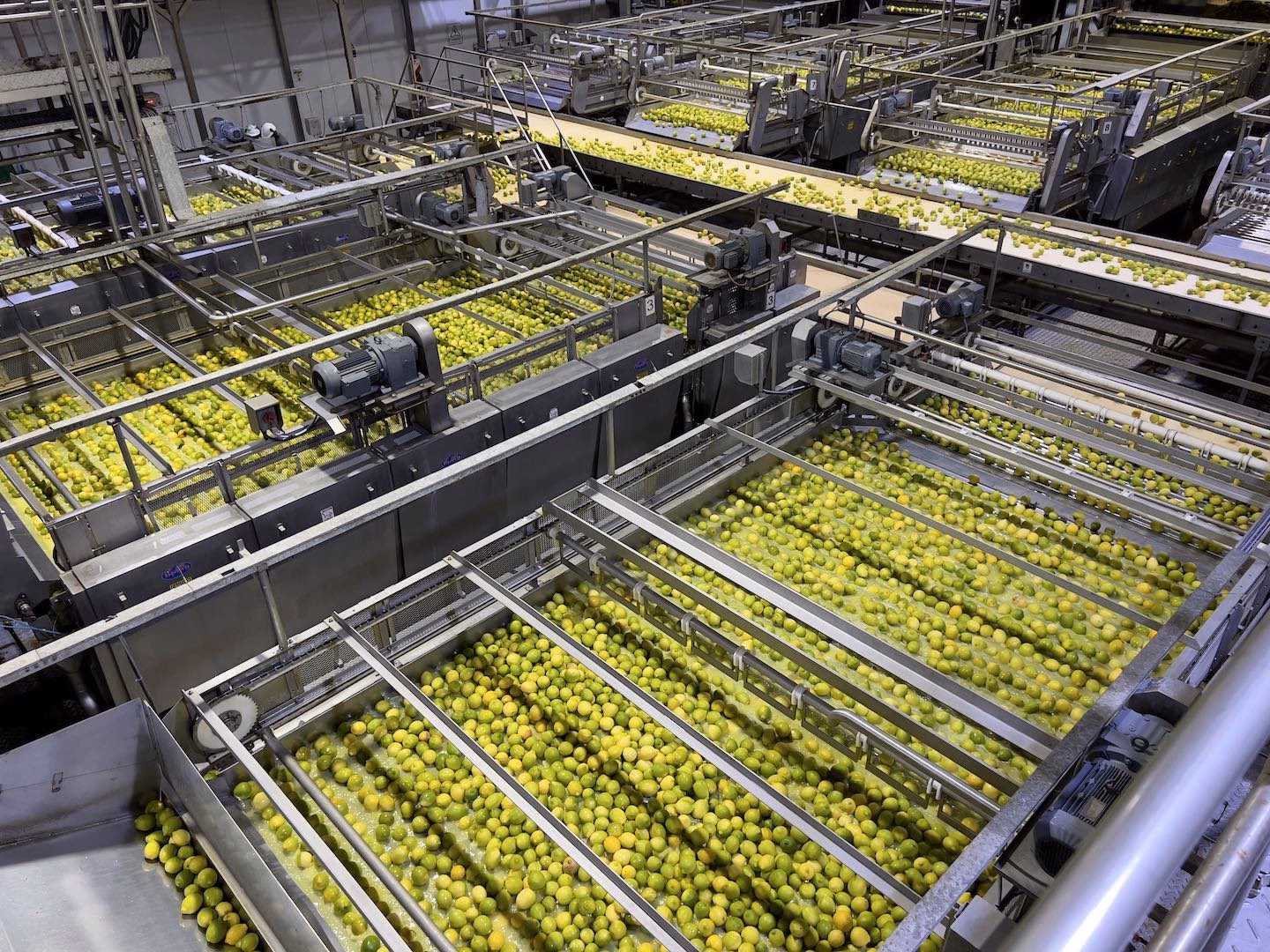 ¿Qué pasó con San Miguel SA?