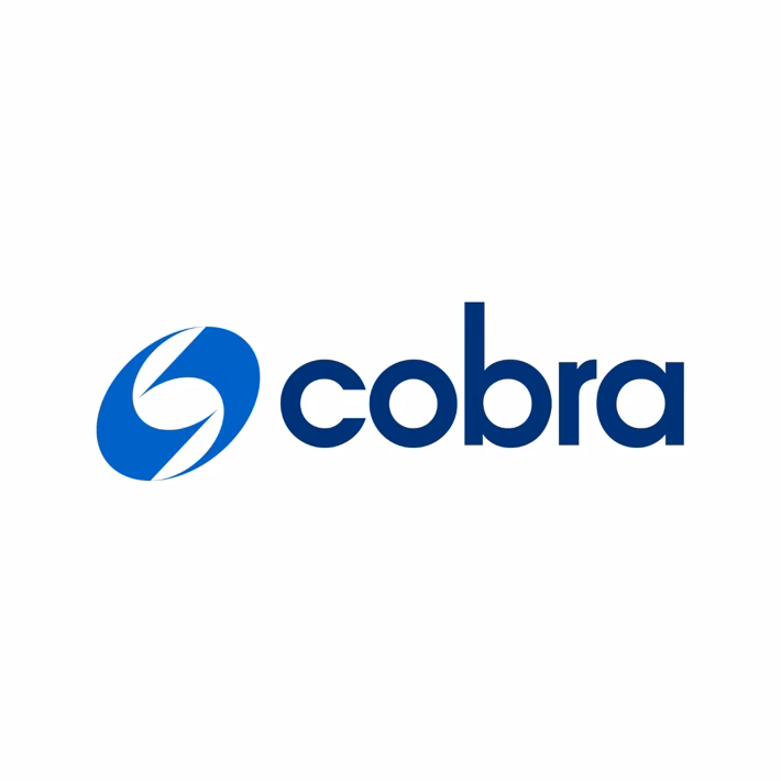 How does COBRA work for employees?