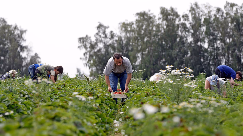 ¿Qué tan buena es la calidad de vida en Rusia?