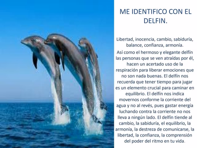 ¿Qué animales nos identifican?