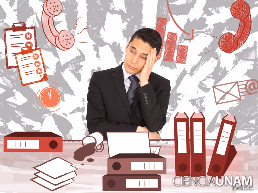 ¿Cuales son las condiciones de empleo?