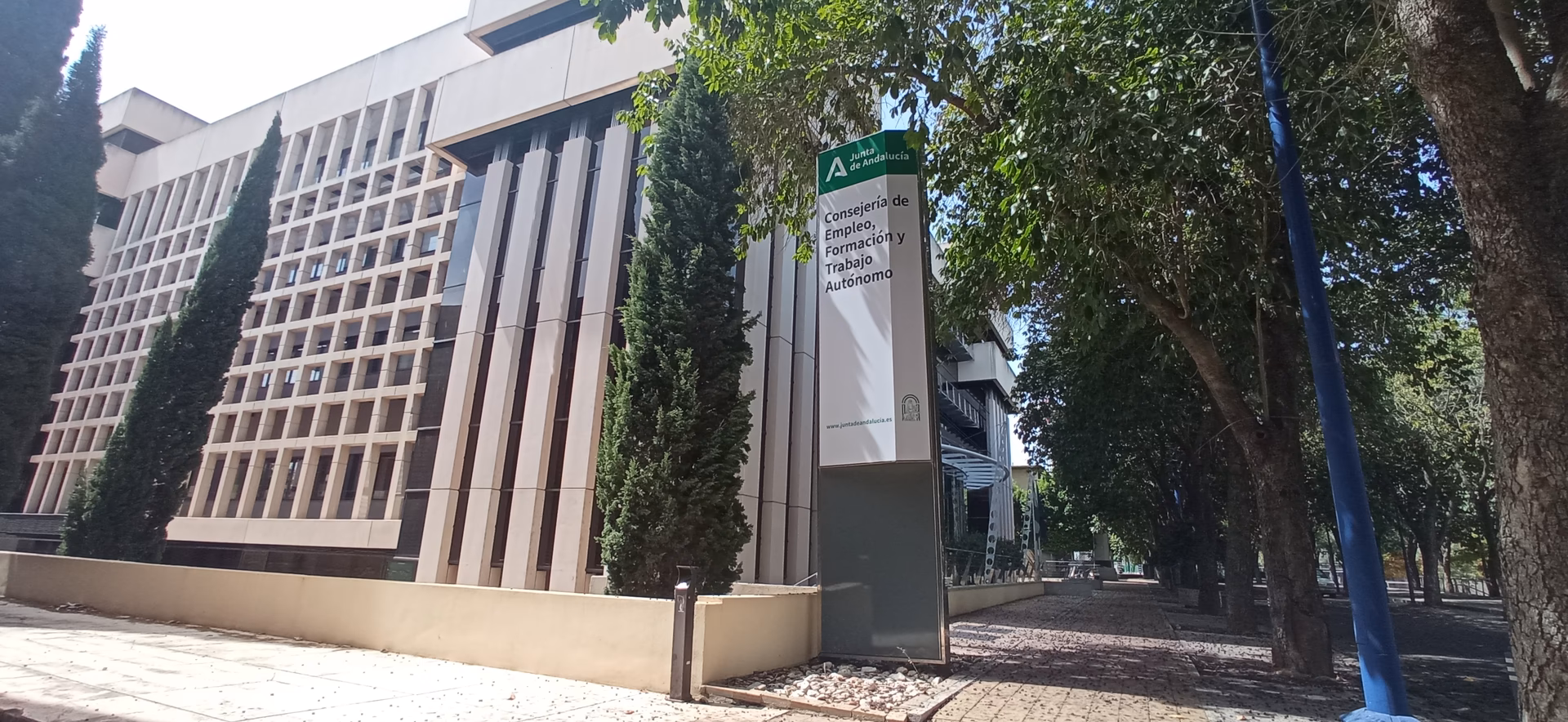 ¿Qué hace un consejero de empleo?