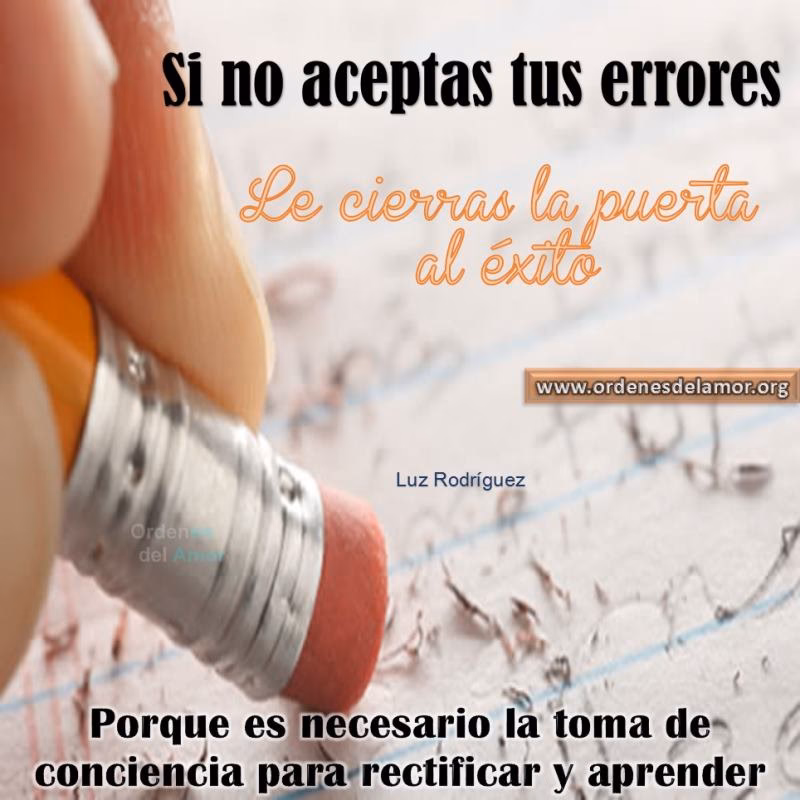 ¿Qué dice Bert Hellinger sobre el trabajo?