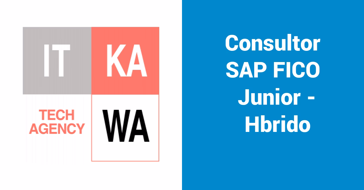 What does SAP FI Consultant do?