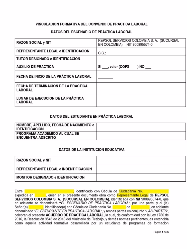 ¿Qué tipo de contrato se le hace a un practicante?