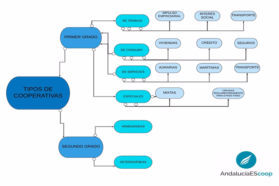 ¿Cuál es un ejemplo de cooperativa de trabajadores?