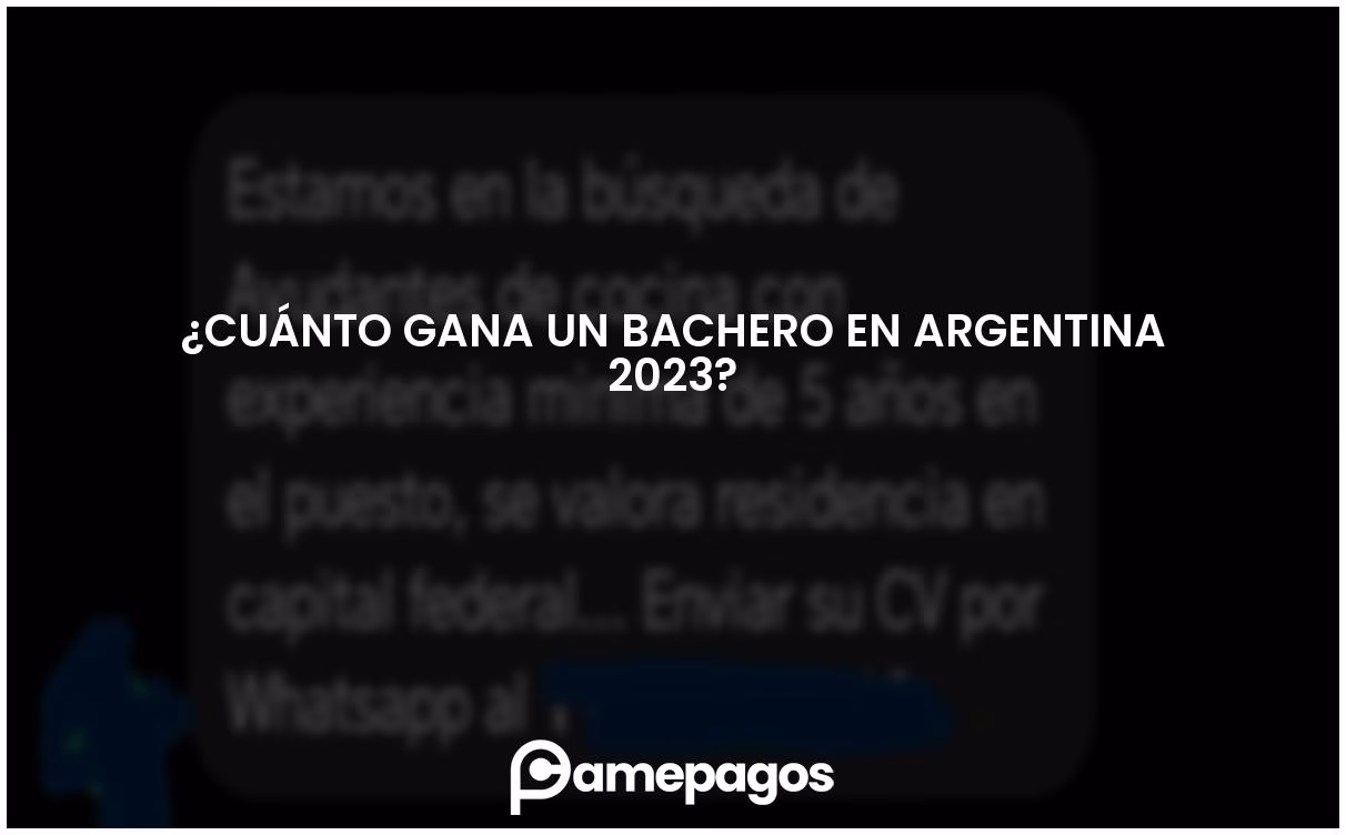 ¿Qué categoría es un bachero?