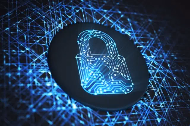 ¿Cuál es el trabajo del cyber?