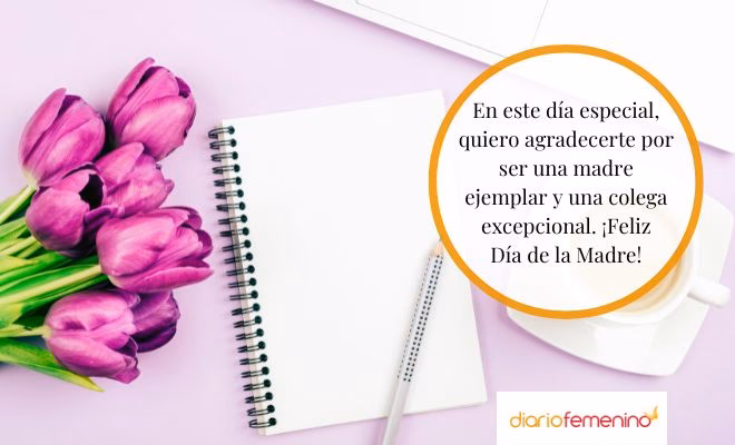 ¿Qué frase bonita puedo dedicar a una buena compañera?