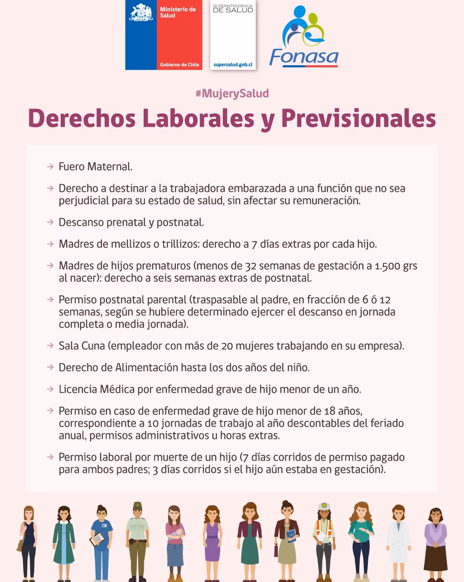 ¿Qué establece la Ley n° 21.561 de Chile?