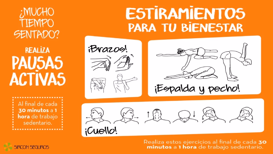 ¿Qué ejercicios se pueden realizar en las pausas activas?