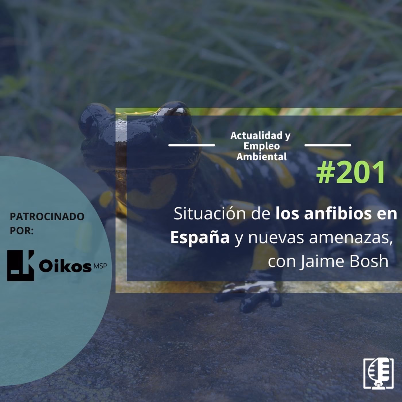 ¿Cuánto gana un técnico ambiental en España?