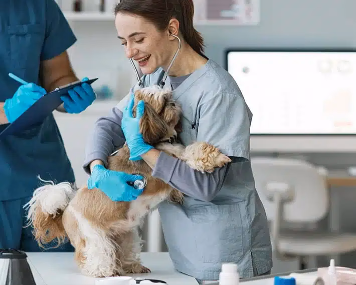 ¿Qué trabajo con animales da más dinero?