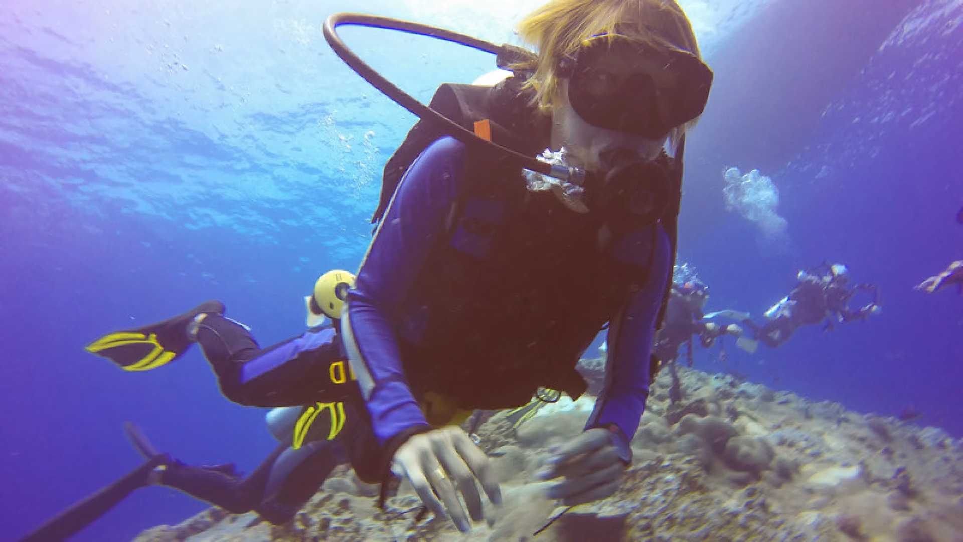 ¿Cuánto gana un biologo marino usa?