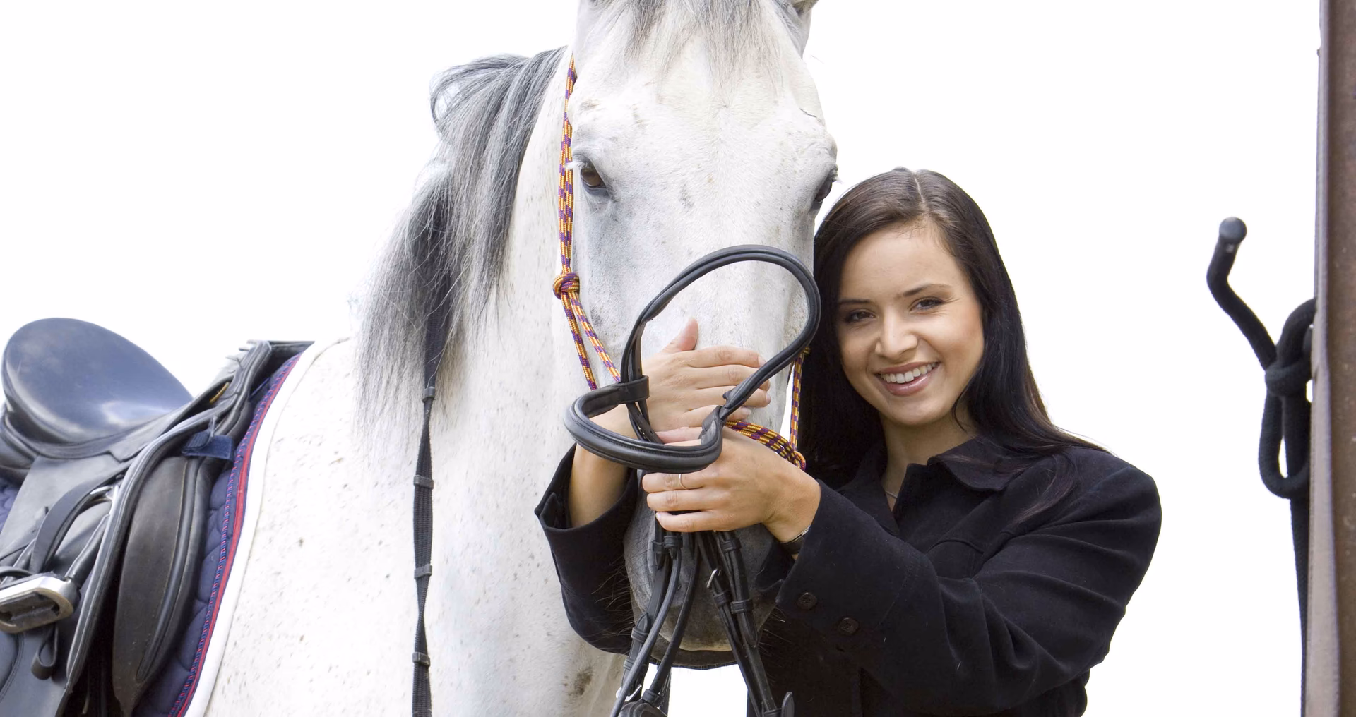 ¿Qué se necesita para ser cuidador de caballos?