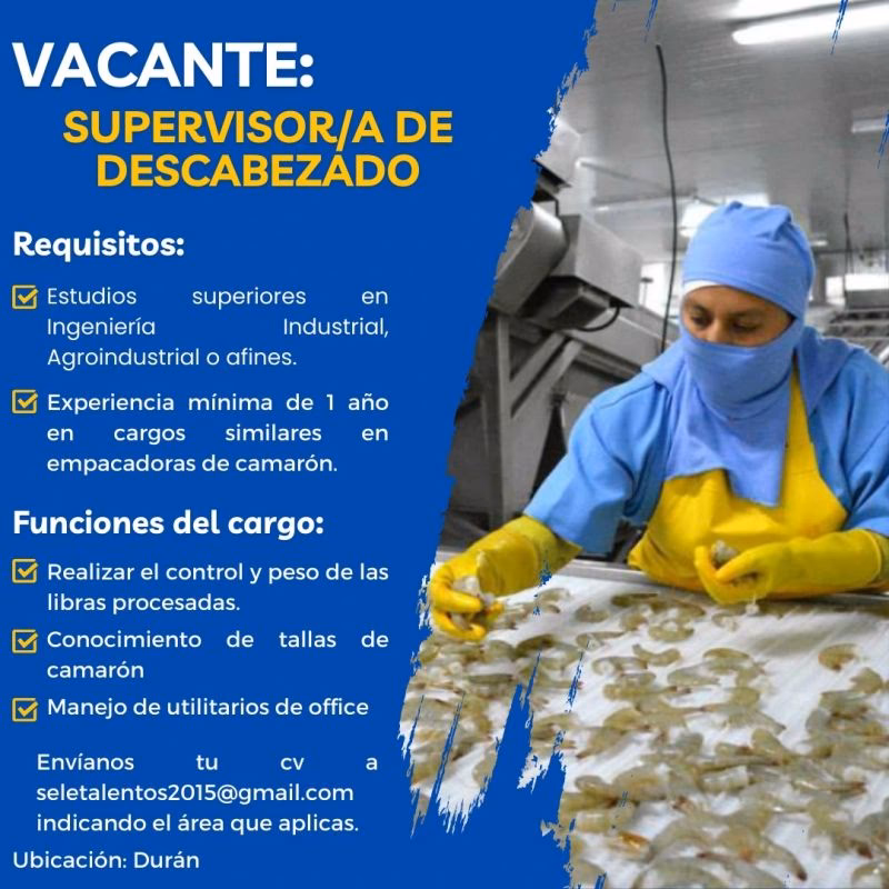 ¿Cuánto pagan en empacadora?