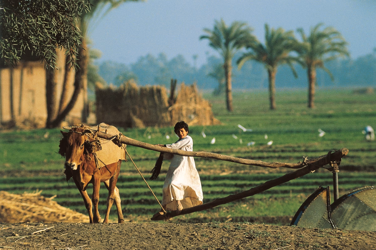 ¿Es fácil encontrar trabajo en Egipto?