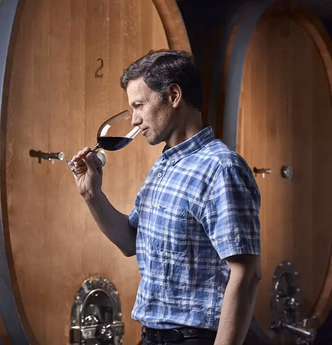 ¿Cuánto gana un enólogo en Chile?