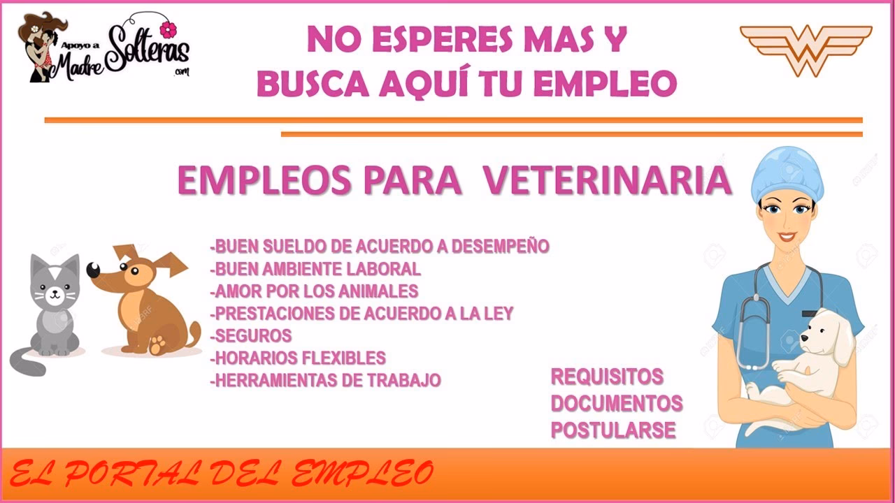 ¿Pueden trabajar los estudiantes de veterinaria?