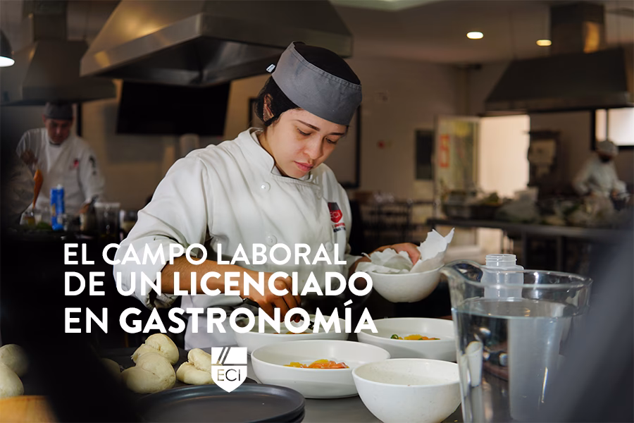 ¿Qué salidas laborales tiene gastronomía?