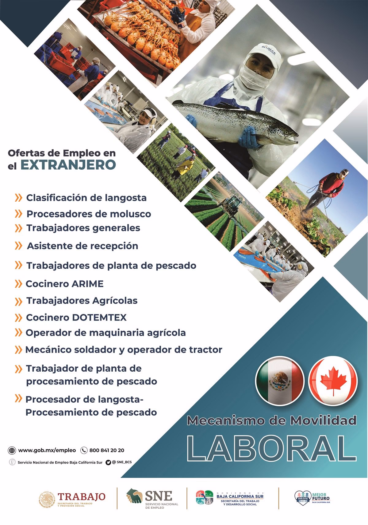 ¿Qué países dan trabajo a mexicanos?