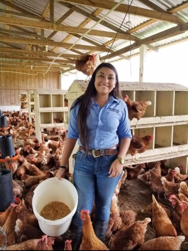 ¿Cuánto gana un ingeniero zootecnista en EEUU?