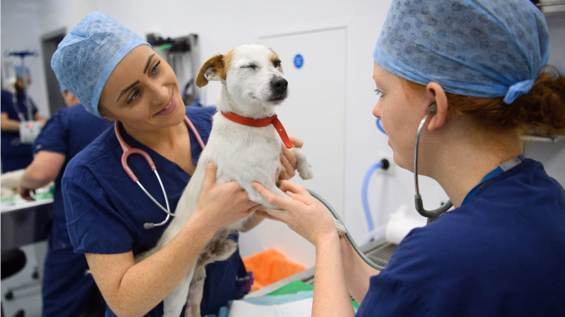 ¿Cuánto cobra un veterinario de laboratorio?