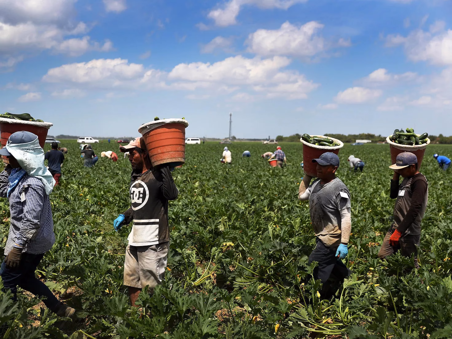 ¿Qué trabajos contratan más inmigrantes?