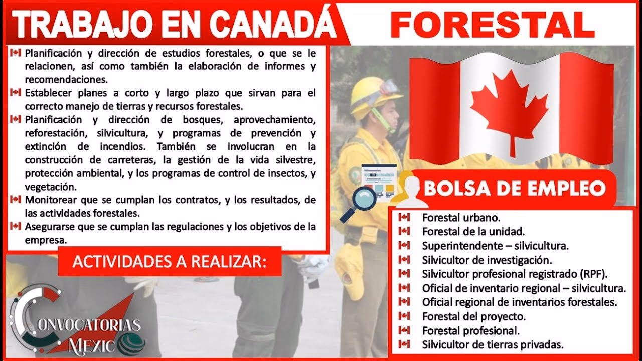 ¿Cuánto cobra un trabajador forestal?