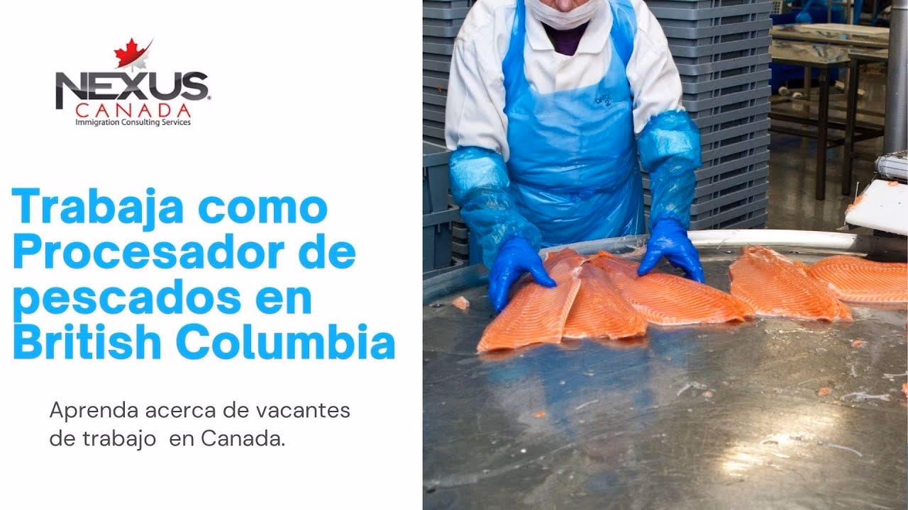 ¿Cómo se llama el trabajo con peces?