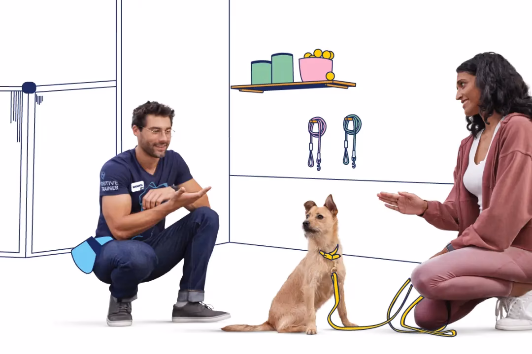 What do you call someone who works with pets?