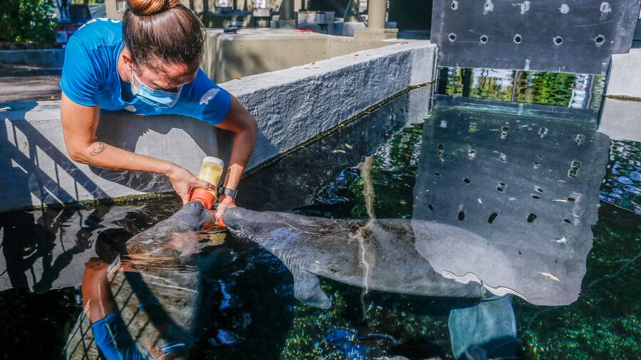 ¿Cómo se llama una persona que trabaja en el zoo?