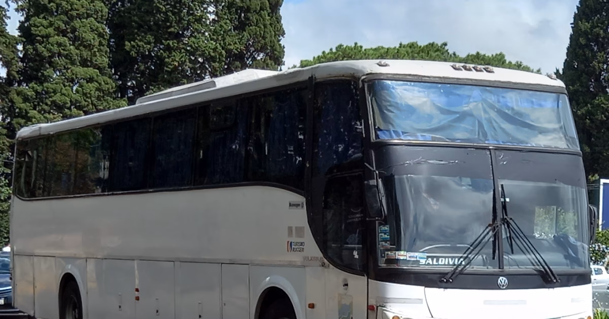 ¿Cuántos camiones tiene la empresa de transportes El Mosca?